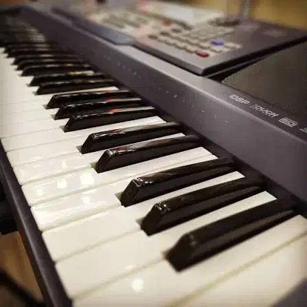 ارگ و کیبورد Moco|پیانو، کیبورد، آکاردئون|اراک, |دیوار