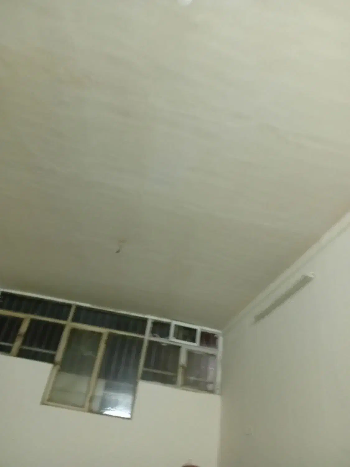 اجاره یک خونه جهل متری در محدوده باغ دبیر|اجارهٔ خانه و ویلا|جلگه ماژان, |دیوار