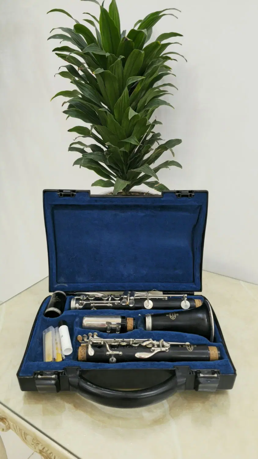 clarinet buffet b12|سازهای بادی|گرمدره, |دیوار