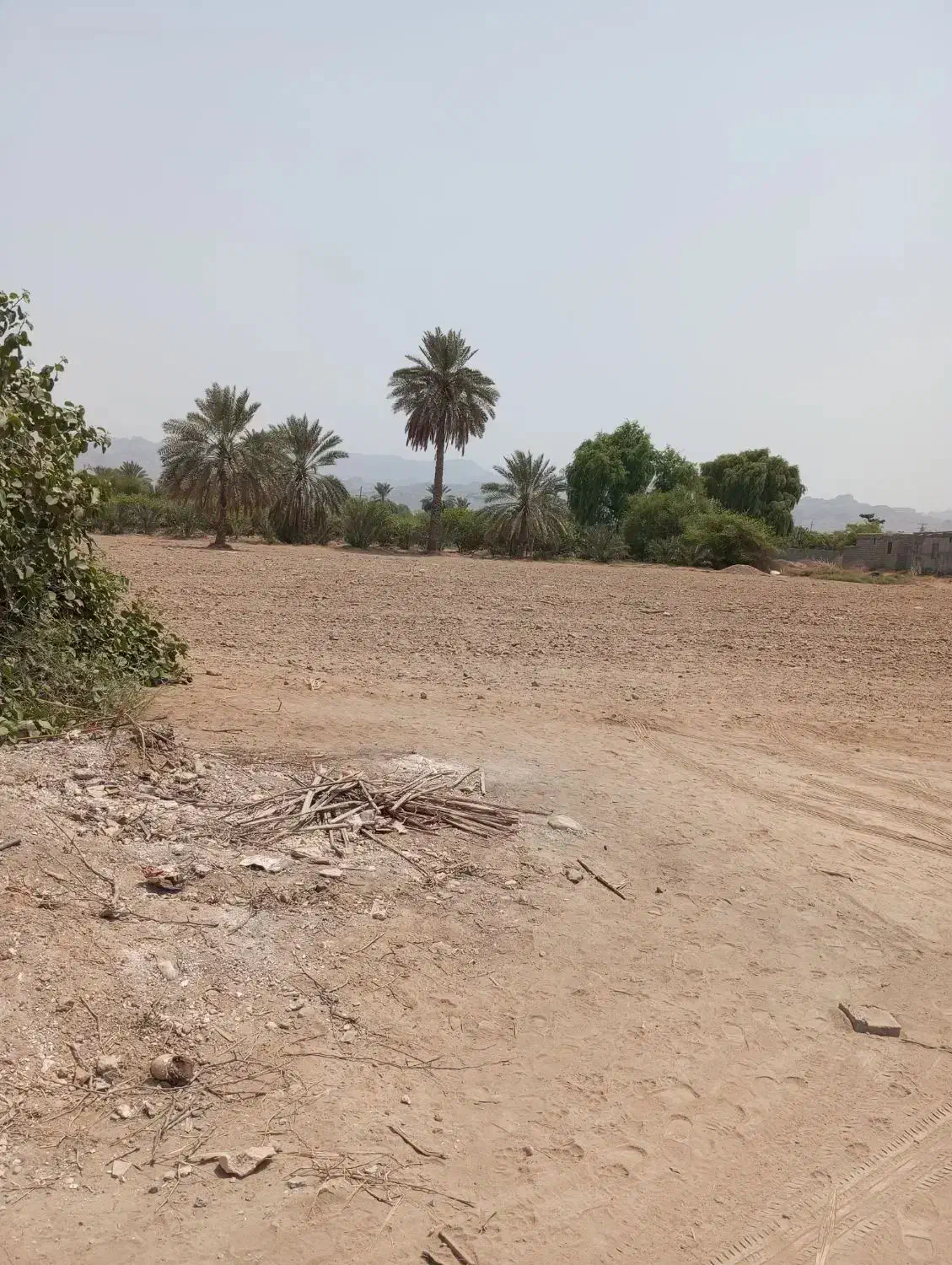 زمین کشاورزی|فروش دفتر صنعتی، کشاورزی، تجاری|میناب, |دیوار