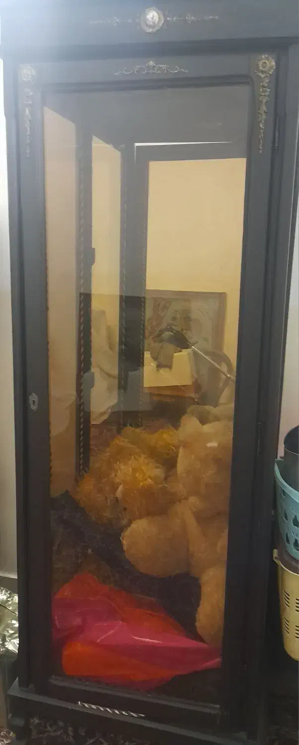 ویترین سالم ونو|بوفه، ویترین، کنسول|جهرم, |دیوار