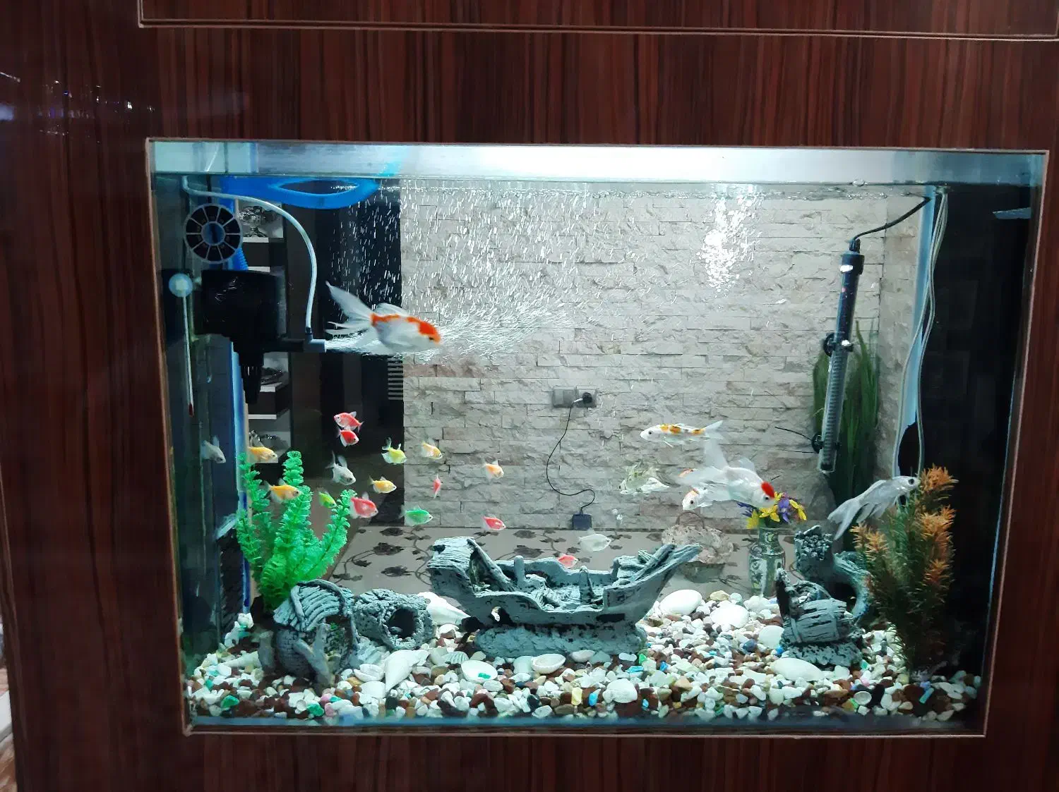 آکواریم کمدی ، با تجهیزات کامل|ماهی|قم, صفاشهر|دیوار