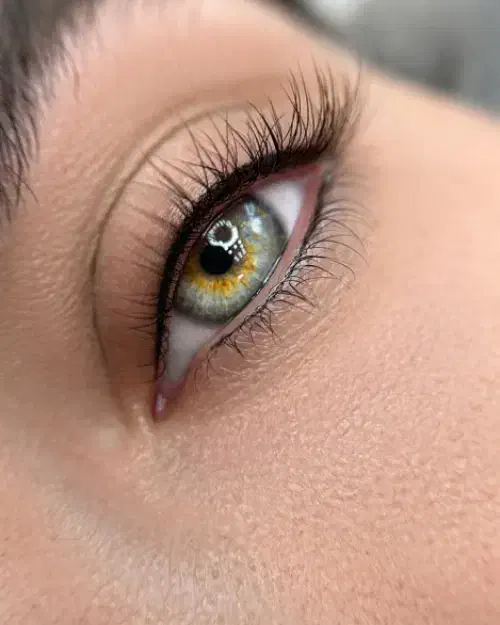 یلدا نزدیکه عجله کن با 600 تومان ابروهاتو میکرو کن|خدمات آرایشگری و زیبایی|مبارکه, |دیوار