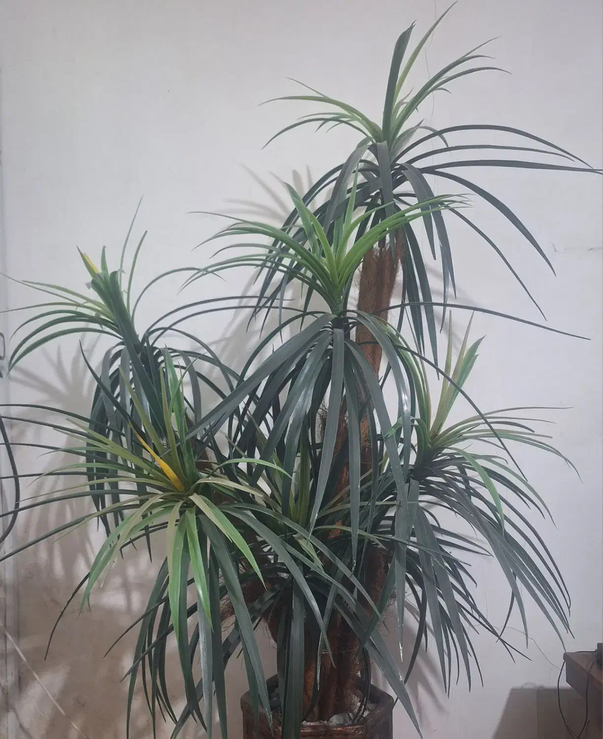 گل نخل مصنوعی|گل مصنوعی|شیراز, شیخ علی چوپان|دیوار