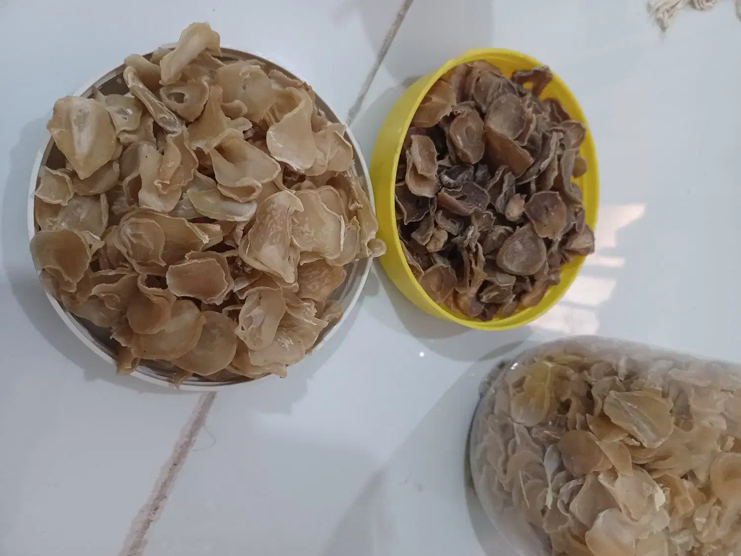 موسیر شیرکوه|خوردنی و آشامیدنی|اهواز, کوی رمضان|دیوار