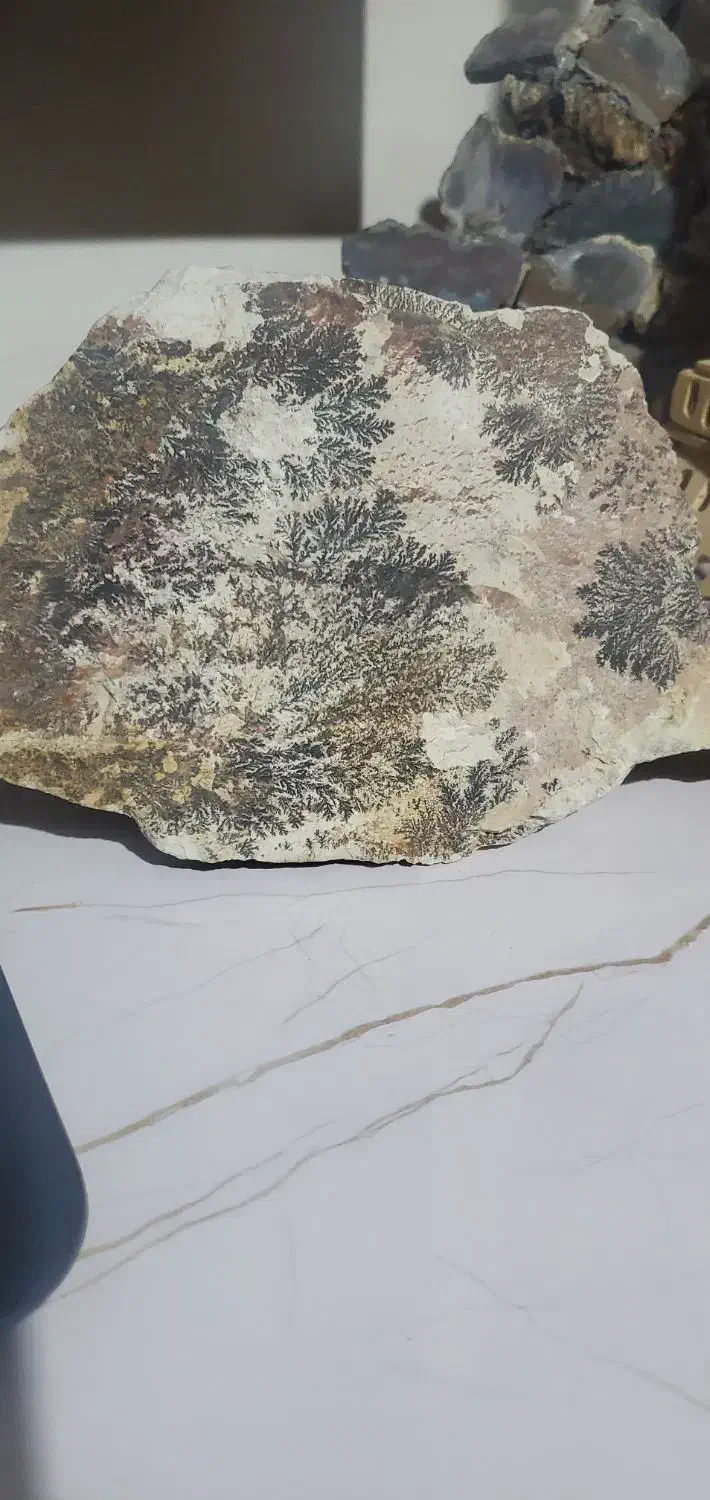 انواع نگین شجر و تسبیح سندلوس پیازی|جواهرات|ارومیه, |دیوار