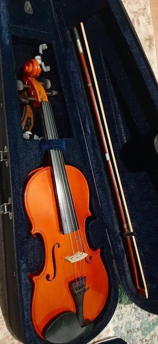 ویالون اصل|ویولن|رودبار, |دیوار