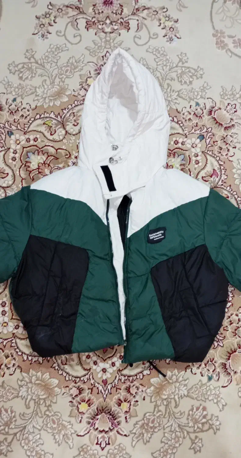 کاپشن پفکی|لباس|خرم‌آباد, |دیوار