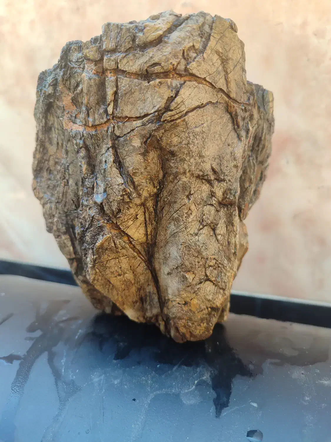 سنگهای مشکوک به شهاب سنگ|کلکسیون اشیاء عتیقه|بیرجند, |دیوار