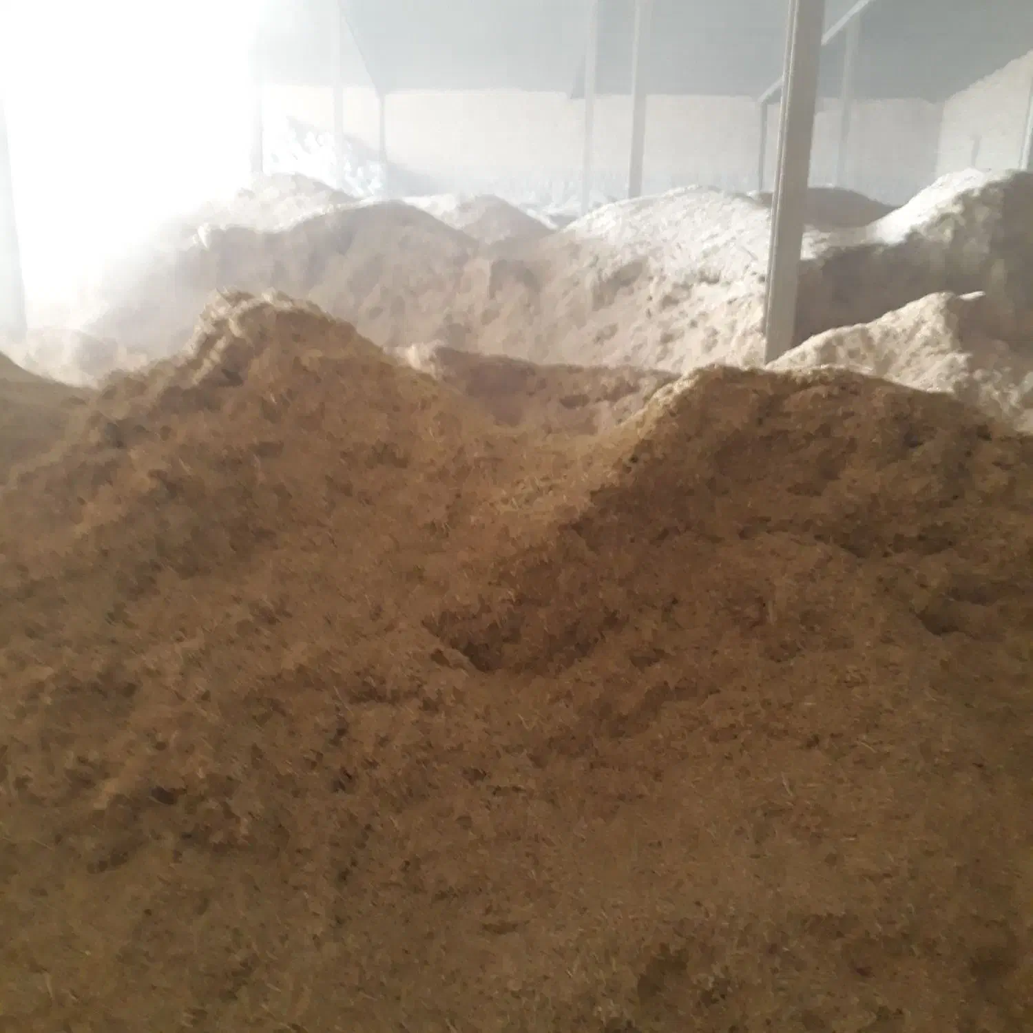 خریدار کاه گندم.کاه نخود.کاه عدس.کاه لوبیا|خدمات باغبانی و درختکاری|سنقر, |دیوار