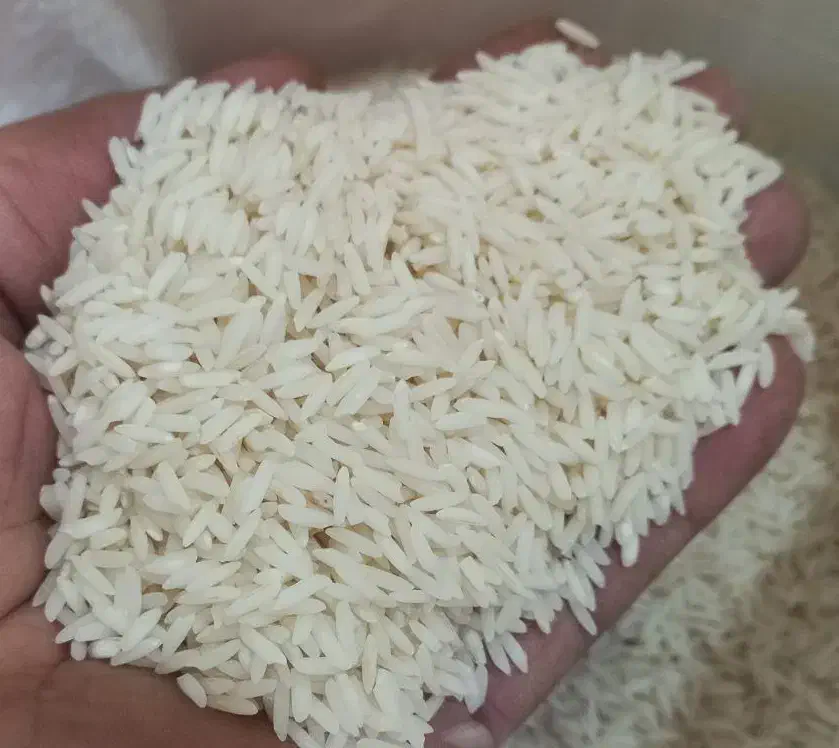 انواع برنج ایرانی فجرسوزنی لاشه سرلاشه طارم|خوردنی و آشامیدنی|شاهرود, |دیوار
