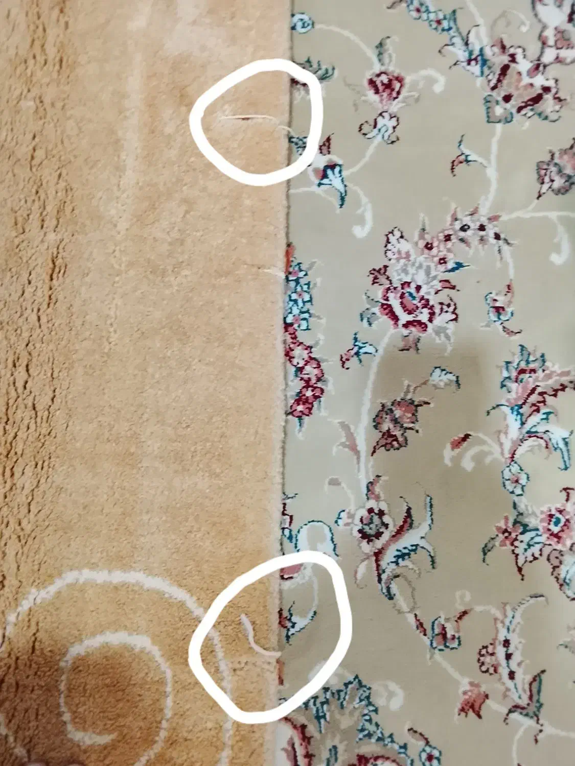 گلیم فرش پرز دار|گلیم، جاجیم، گبه|کرمانشاه, |دیوار