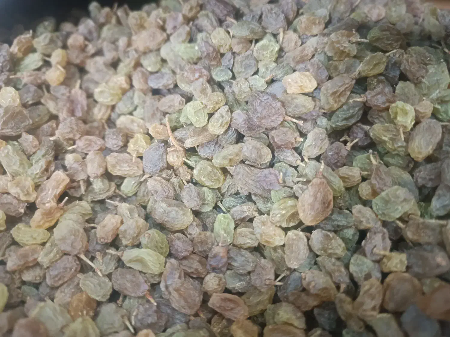 کشمش درجه ۱ سبز و درشت|خوردنی و آشامیدنی|نجفآباد, امام خمینی|دیوار