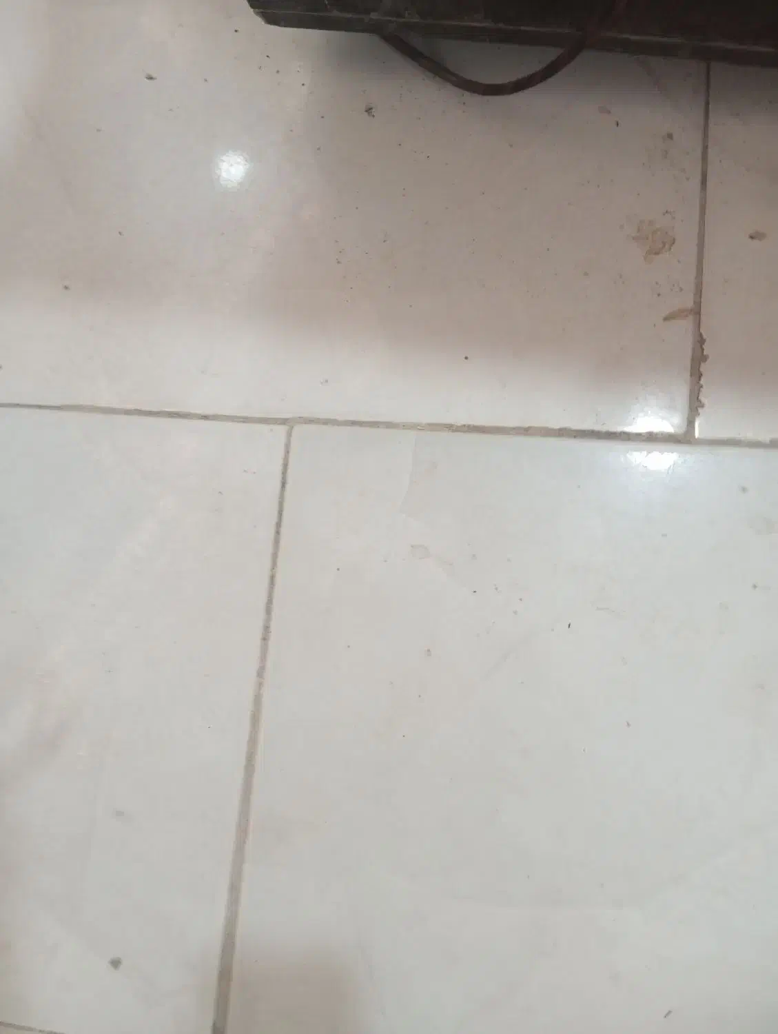 مغازه اجاره ای در گشت|اجارهٔ مغازه و غرفه|سراوان, |دیوار