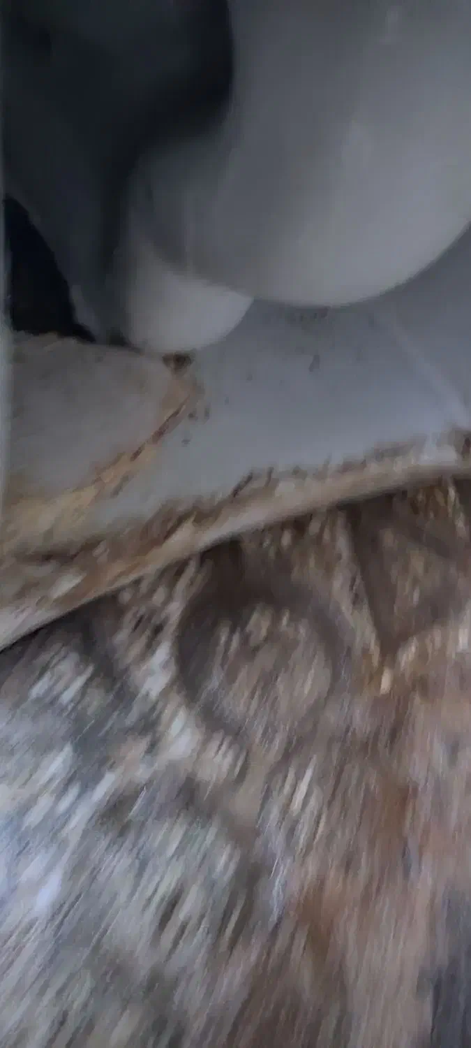 توالت فرنگی|لوازم سرویس بهداشتی|خرم‌آباد, |دیوار