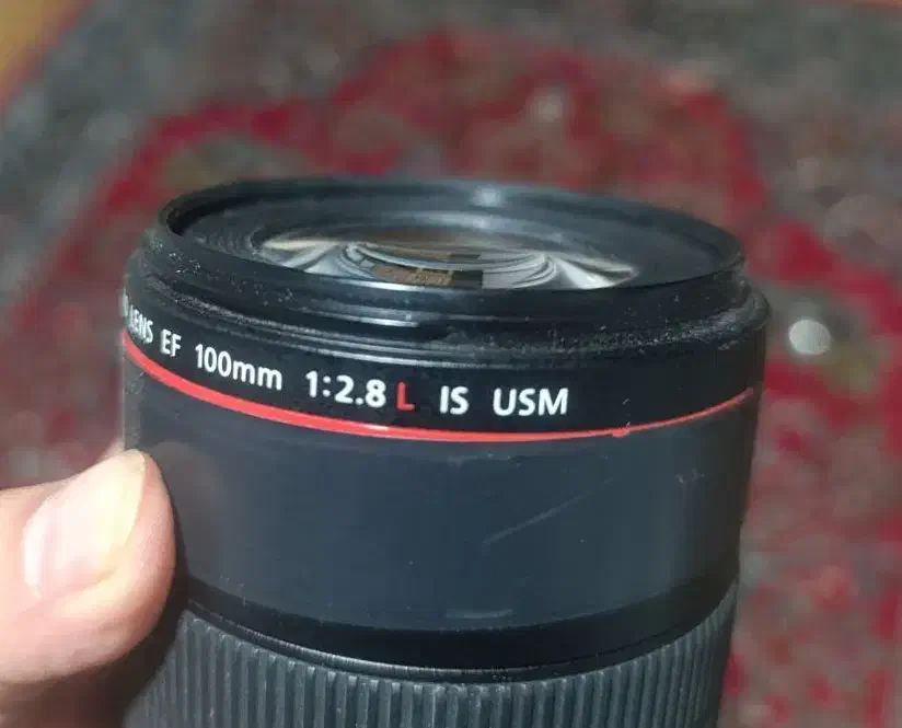 100mm f/2.8 Macro|دوربین عکاسی و فیلم‌برداری|تهران, بوستان چیتگر|دیوار