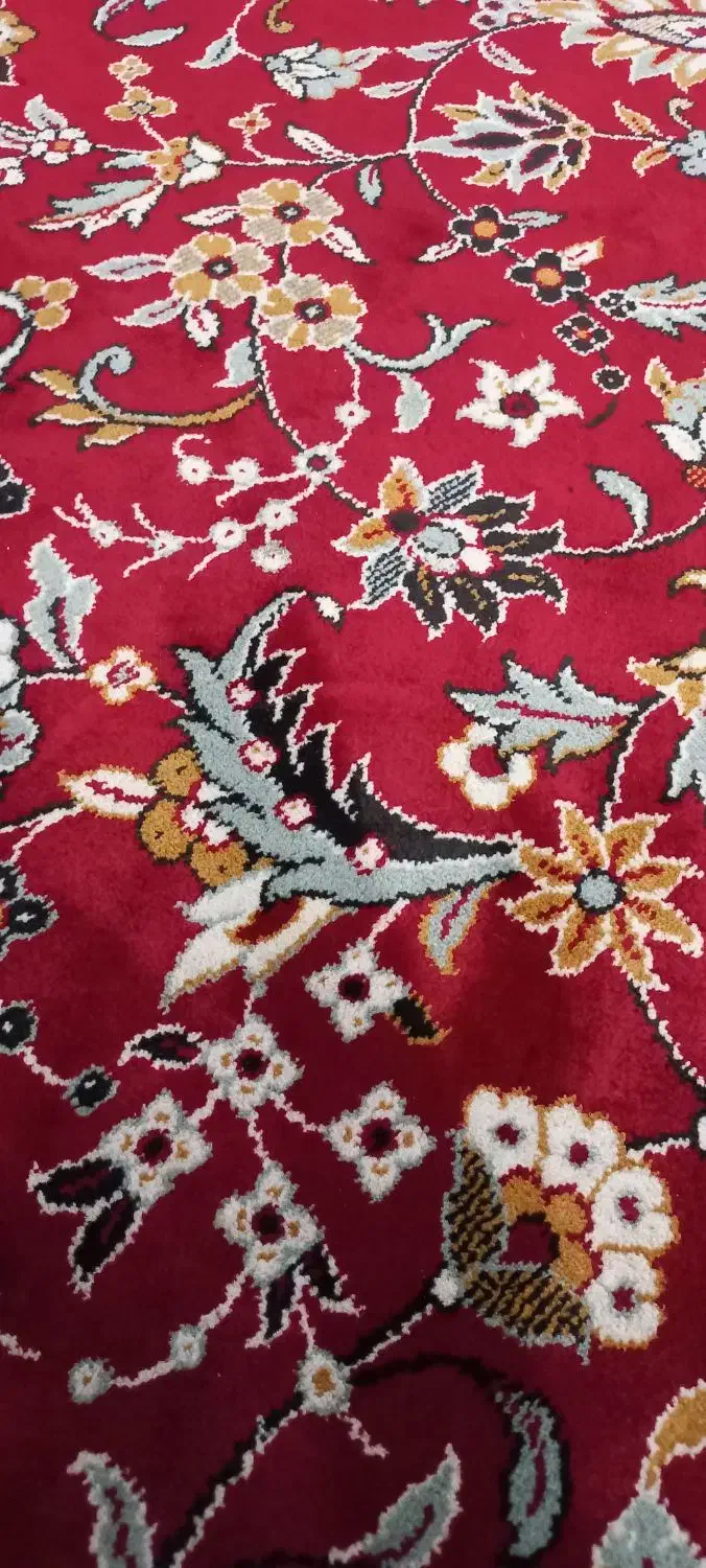 آپارتمان شوط فاز یک|اجارهٔ آپارتمان|شوط, |دیوار