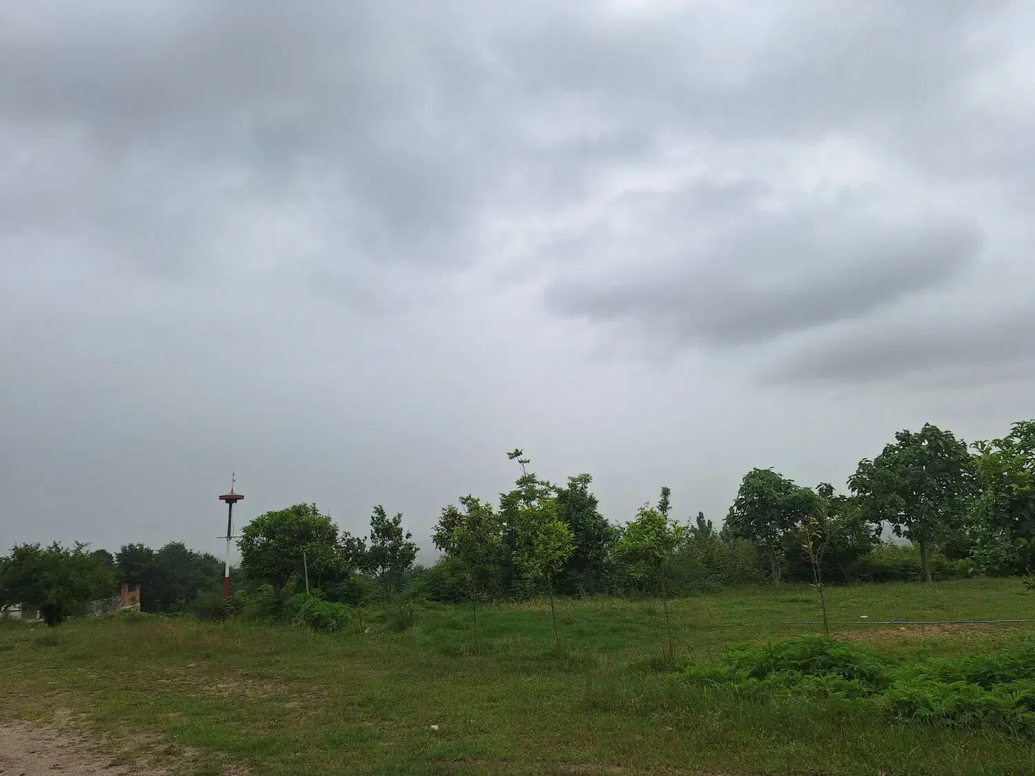 زمین مسکونی ویلائی دارای مرکبات|فروش زمین و ملک کلنگی|گلوگاه بابل (گلیا), |دیوار