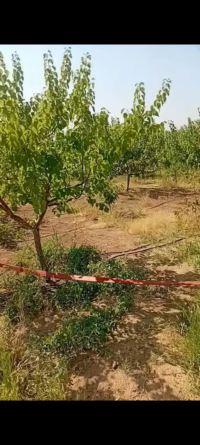 فروش خانه باغ وباغ|فروش خانه و ویلا|جلفا, |دیوار