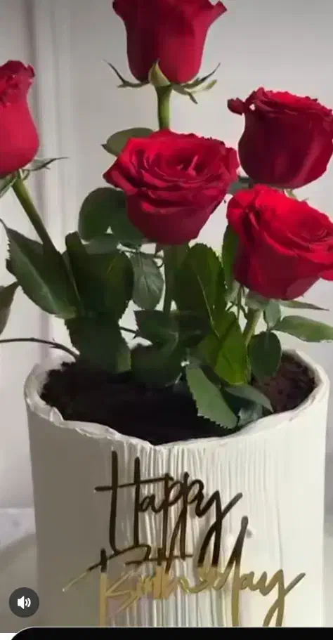 کیک روز مادر|خوردنی و آشامیدنی|سبزوار, طبرسی (جعفرآباد)|دیوار