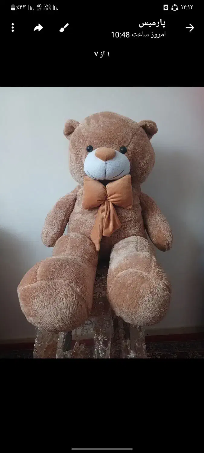 خرس بزرگ|اسباب‌بازی بچه|رشت, جماران|دیوار