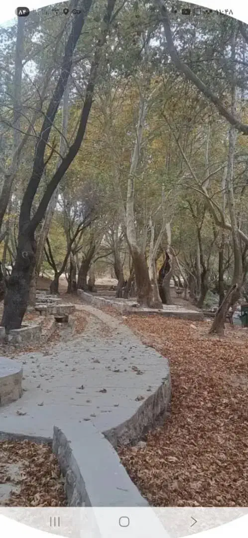 تور یکروزه جنگل زیبای پروز|تور و چارتر|اصفهان, ارغوانیه|دیوار