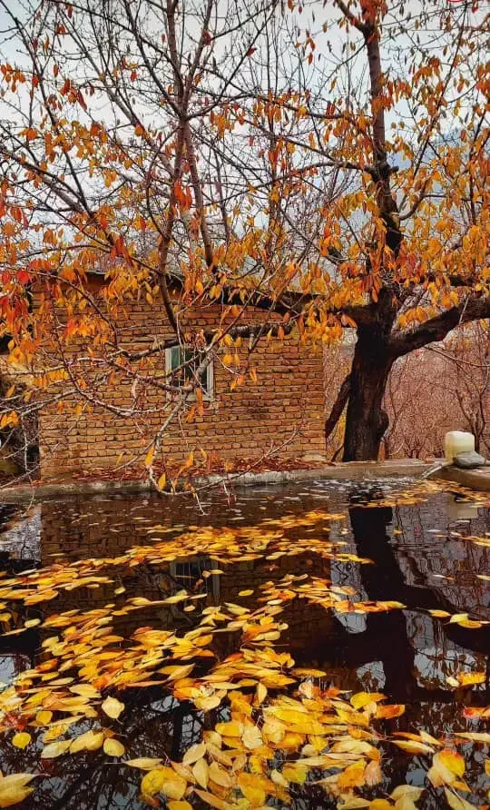 کارگر ساده|استخدام سرایداری و نظافت|سلطانیه, |دیوار