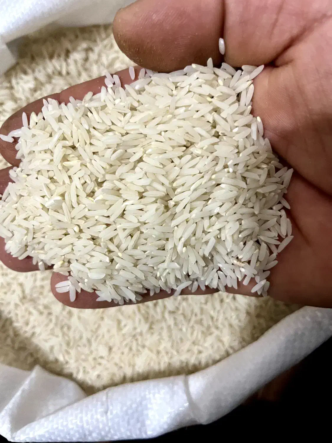 برنج دمسیاه|خوردنی و آشامیدنی|تاتار علیا, |دیوار