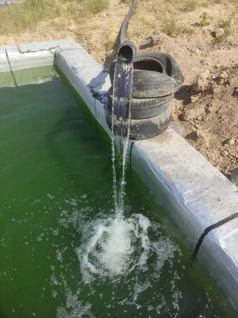 زمین ویلایی 2517دربستان ابادنرسیده به جاده شیرونده|فروش دفتر صنعتی، کشاورزی، تجاری|تیکمه داش, |دیوار