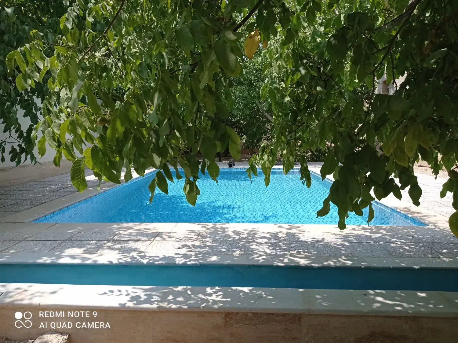 اجاره باغ و ویلا|اجارهٔ کوتاه‌مدت ویلا و باغ|شیراز, علوم پزشکی|دیوار