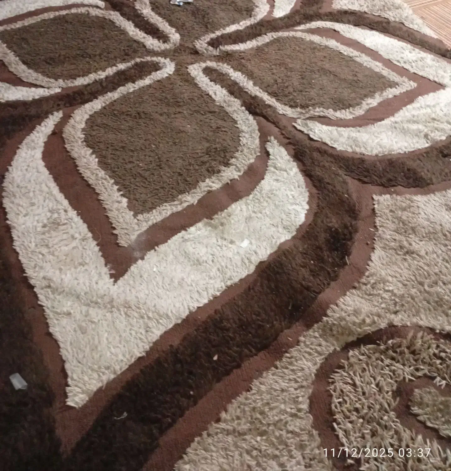 گلیم فروش|گلیم، جاجیم، گبه|بندر ماهشهر, |دیوار