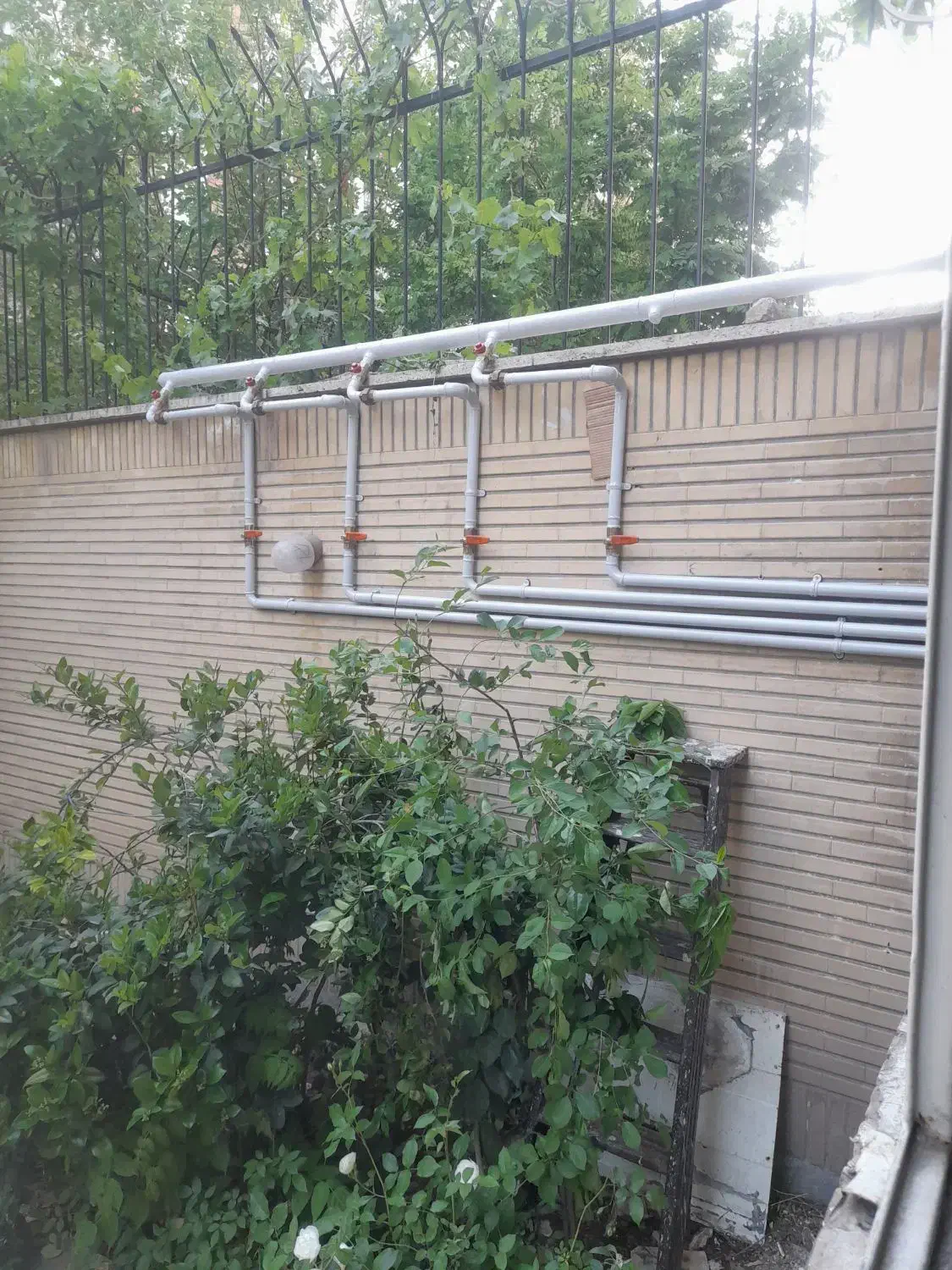 لوله کشی گاز وتاییدیه|خدمات پیشه و مهارت|تهران, دانشگاه شریف|دیوار