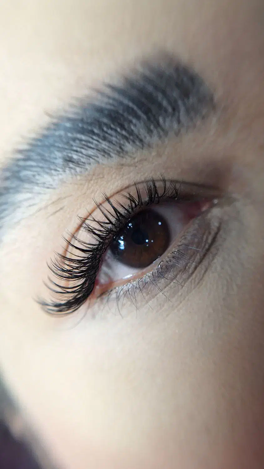 جشنواره تخفیف اکستنشن مژه|خدمات آرایشگری و زیبایی|الوند, |دیوار