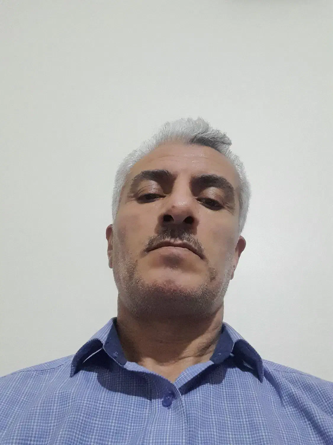 تهیه و نصب انواع کاغذ دیواری و پوستر|خدمات پیشه و مهارت|نسیمشهر, |دیوار