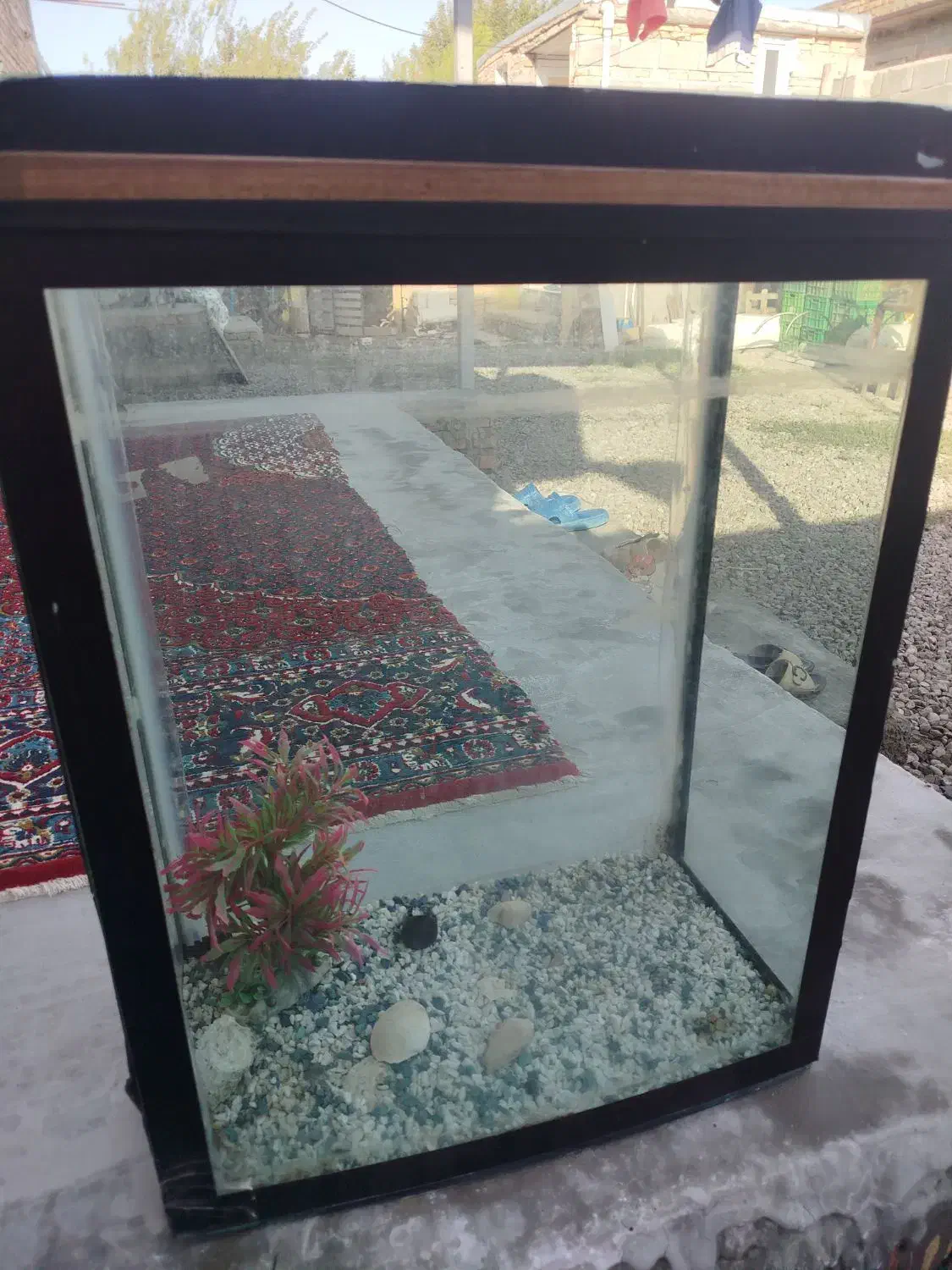 آکواریوم ماهی وآبزیان|ماهی|پارس‌آباد, |دیوار