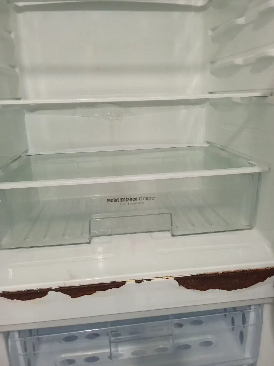 یخچال|یخچال و فریزر|مشهد, آزادشهر|دیوار