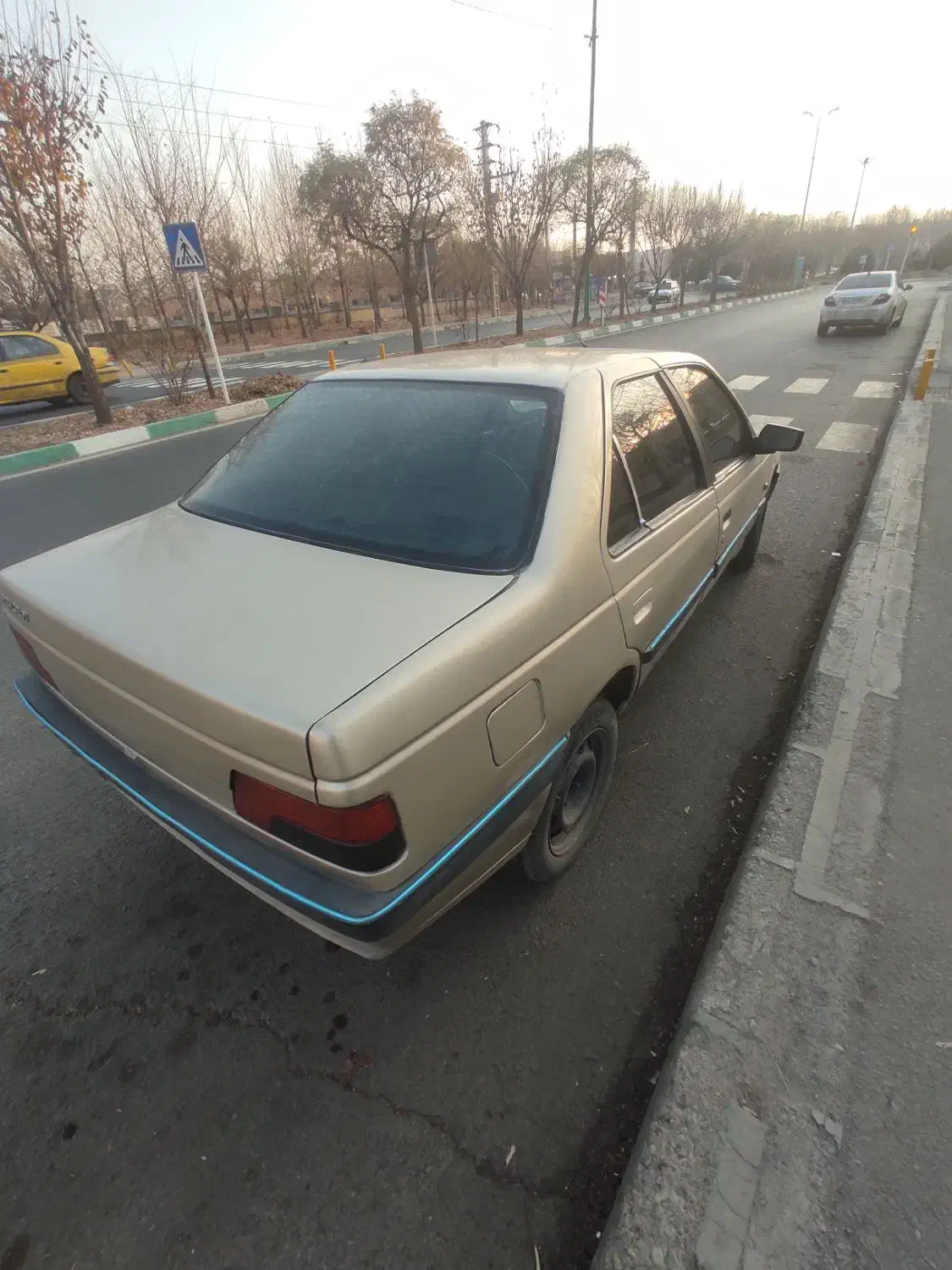 405مدل 83بژ|خودرو سواری و وانت|کرج, ساماندهی|دیوار