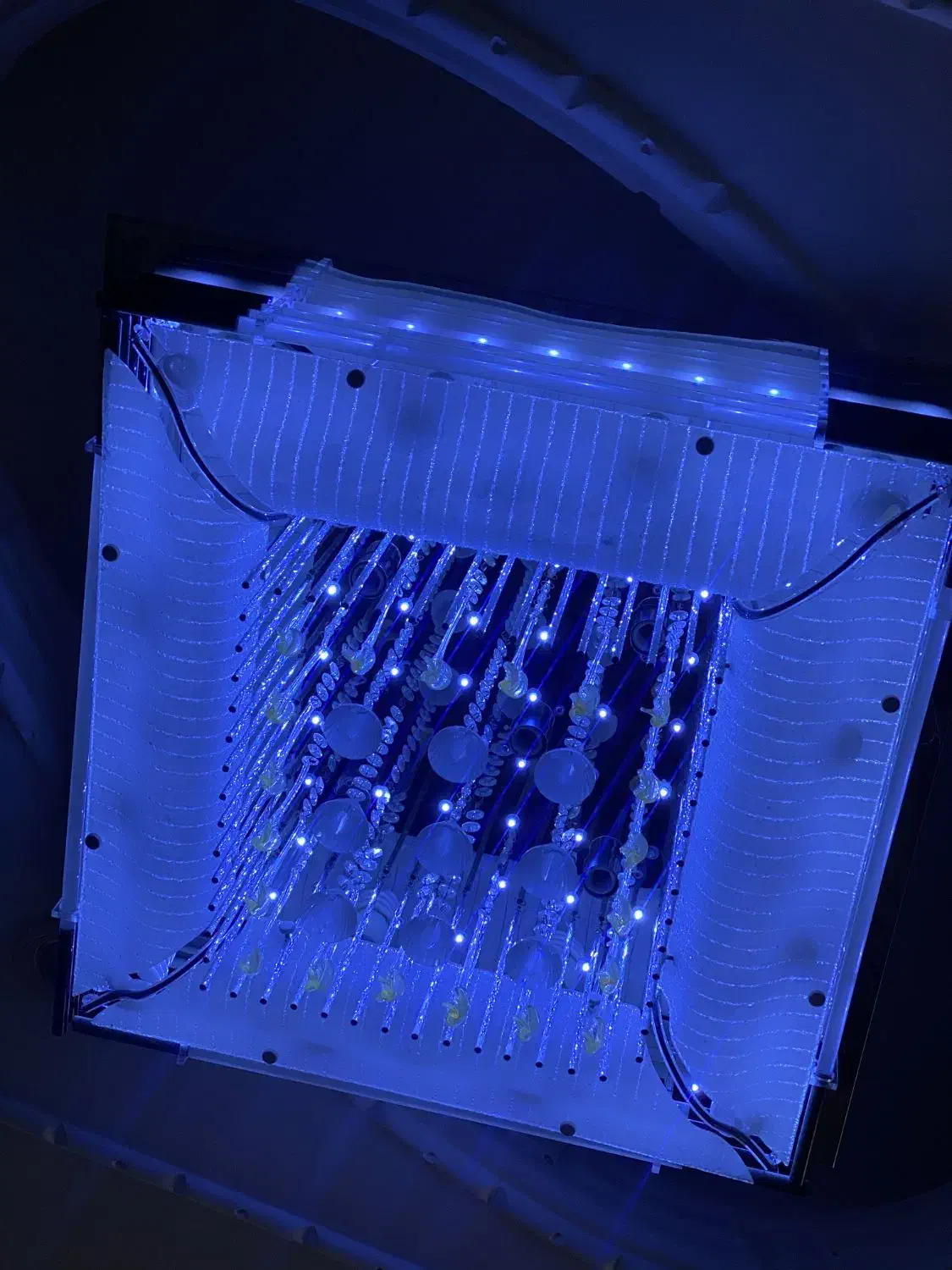 لوستر|لوستر و چراغ آویز|یاسوج, |دیوار