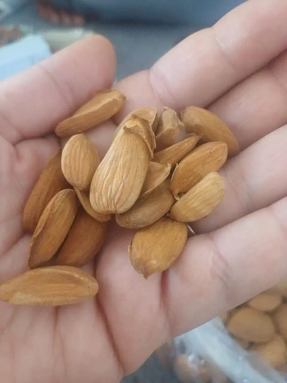 بادام شیرین|خوردنی و آشامیدنی|یزد, |دیوار