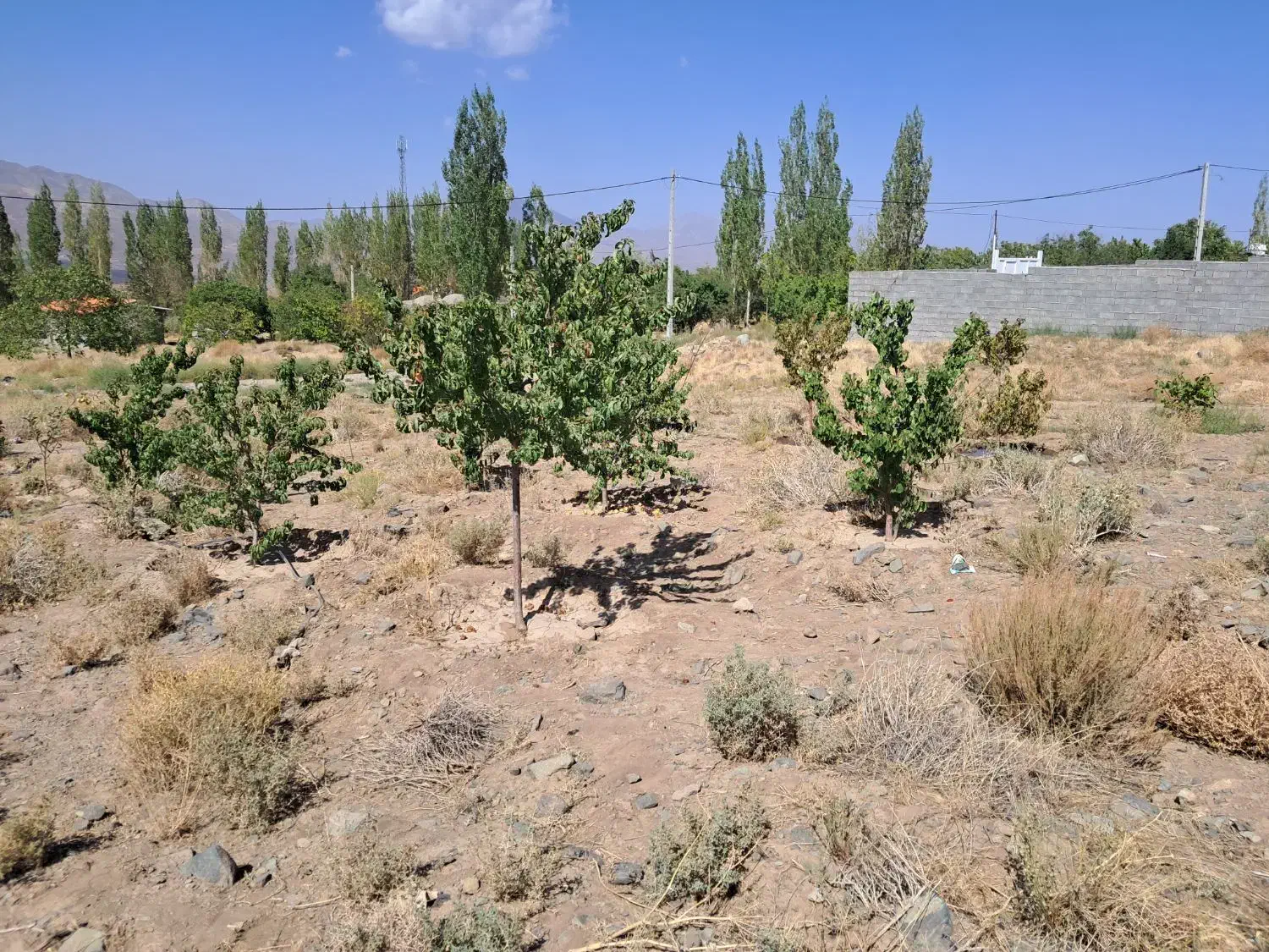 زمین|فروش زمین و ملک کلنگی|درب بهشت, |دیوار