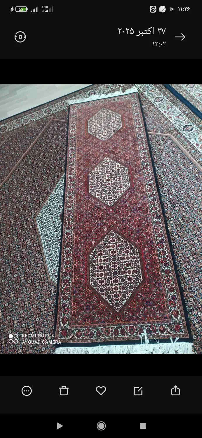 کناره افشار|فرش|زنجان, |دیوار