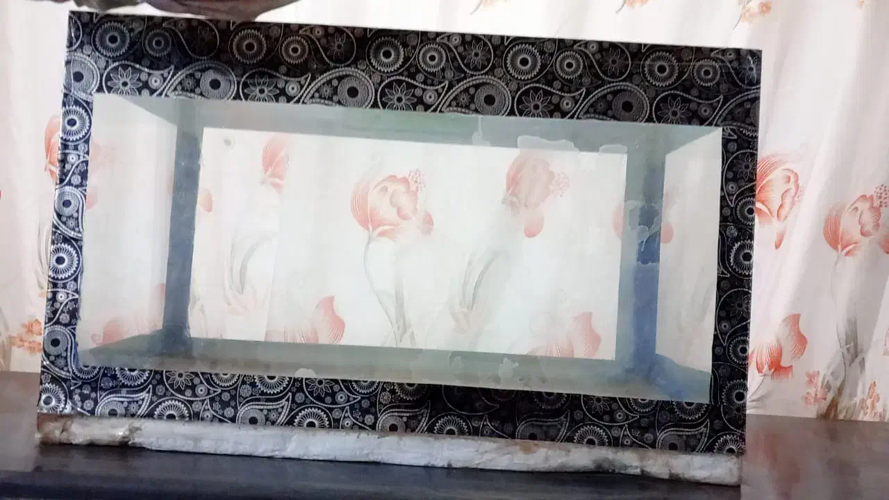 اکواریوم باتمام وسایل|ماهی|زابل, |دیوار