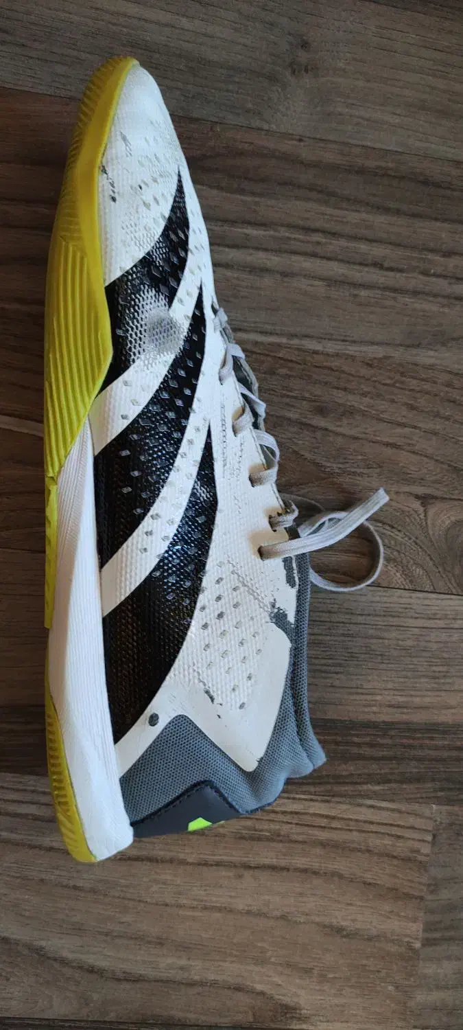 کفش سالنی آدیداس پریدیتور اصل|کیف، کفش، کمربند|هشترود, |دیوار