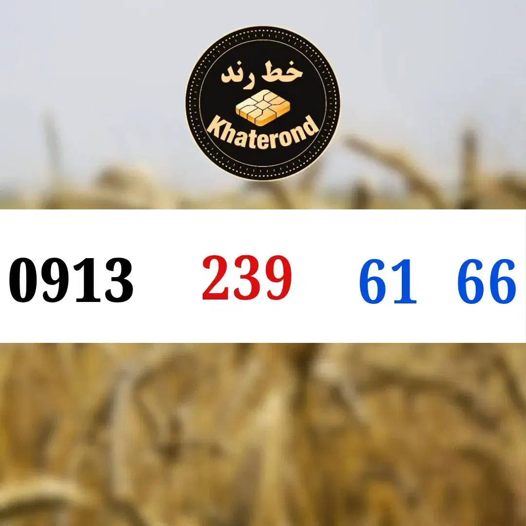 0913.238.66.26|سیم‌کارت|اصفهان, خواجو|دیوار