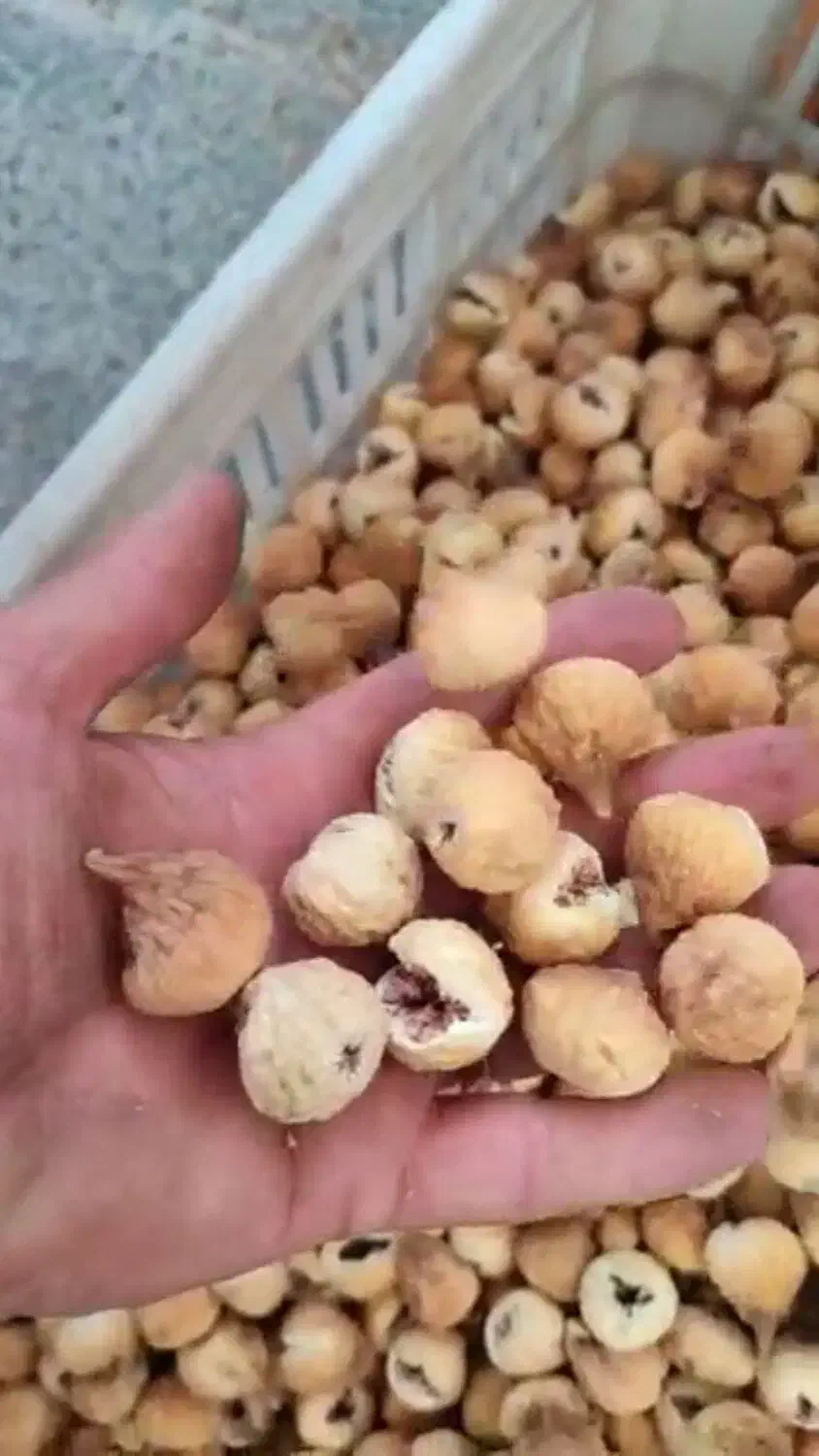 ۲۵ تن انجیر تازه و اعلای باغ شیراز/۵۰کیلو به بالا|خوردنی و آشامیدنی|اصفهان, محمودیه|دیوار