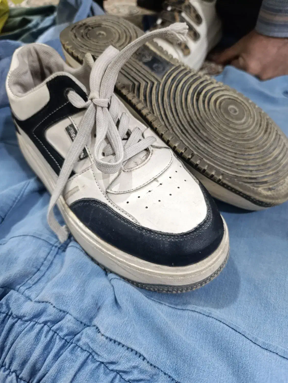 کفش درحد نو|کیف، کفش، کمربند|گنبد کاووس, |دیوار