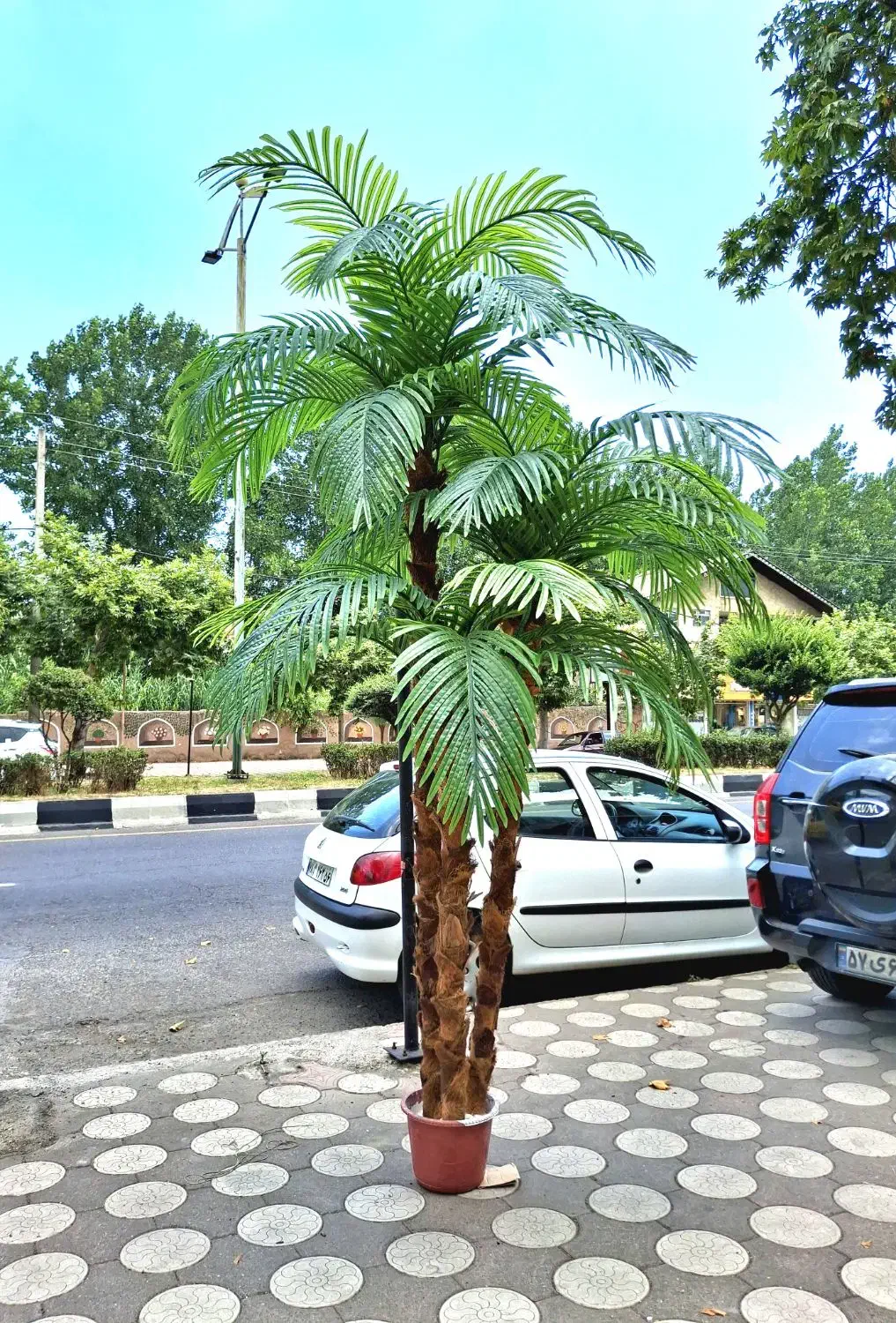 تولید درخت نخل مصنوعی|گل مصنوعی|لنگرود, |دیوار