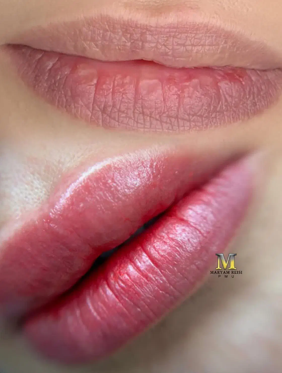 شیدینگ لب میکرو ابرو بن مژه|خدمات آرایشگری و زیبایی|شیراز, محراب|دیوار