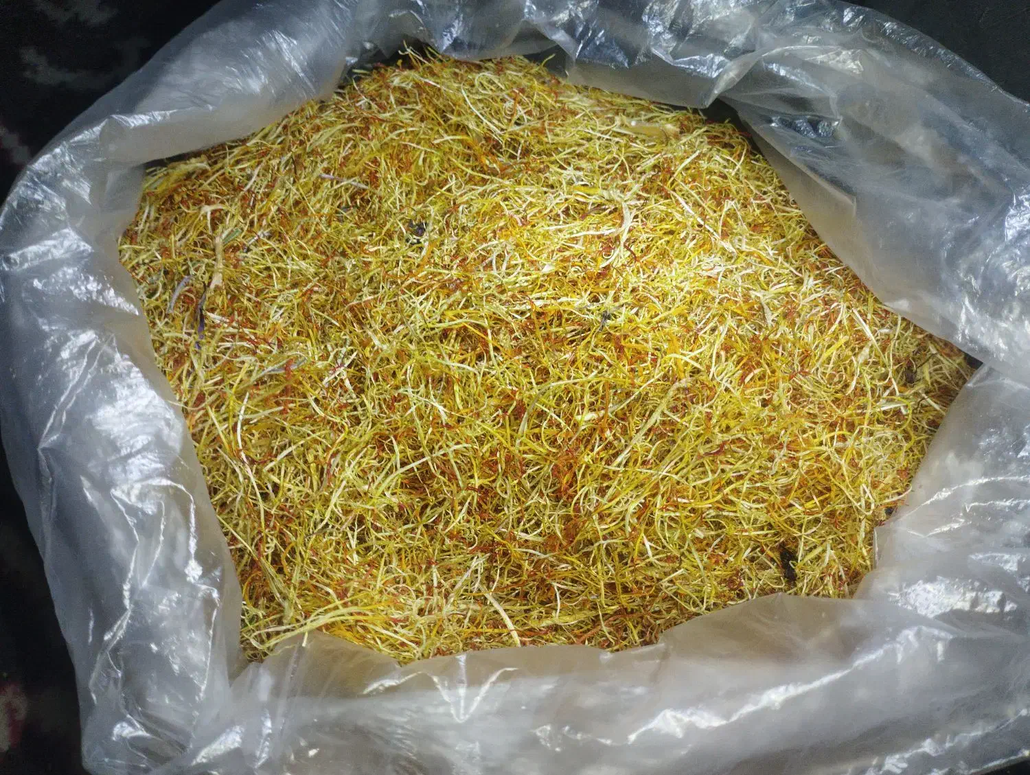 ریشه و نگین زعفران|خوردنی و آشامیدنی|مشهد, چهاربرج|دیوار