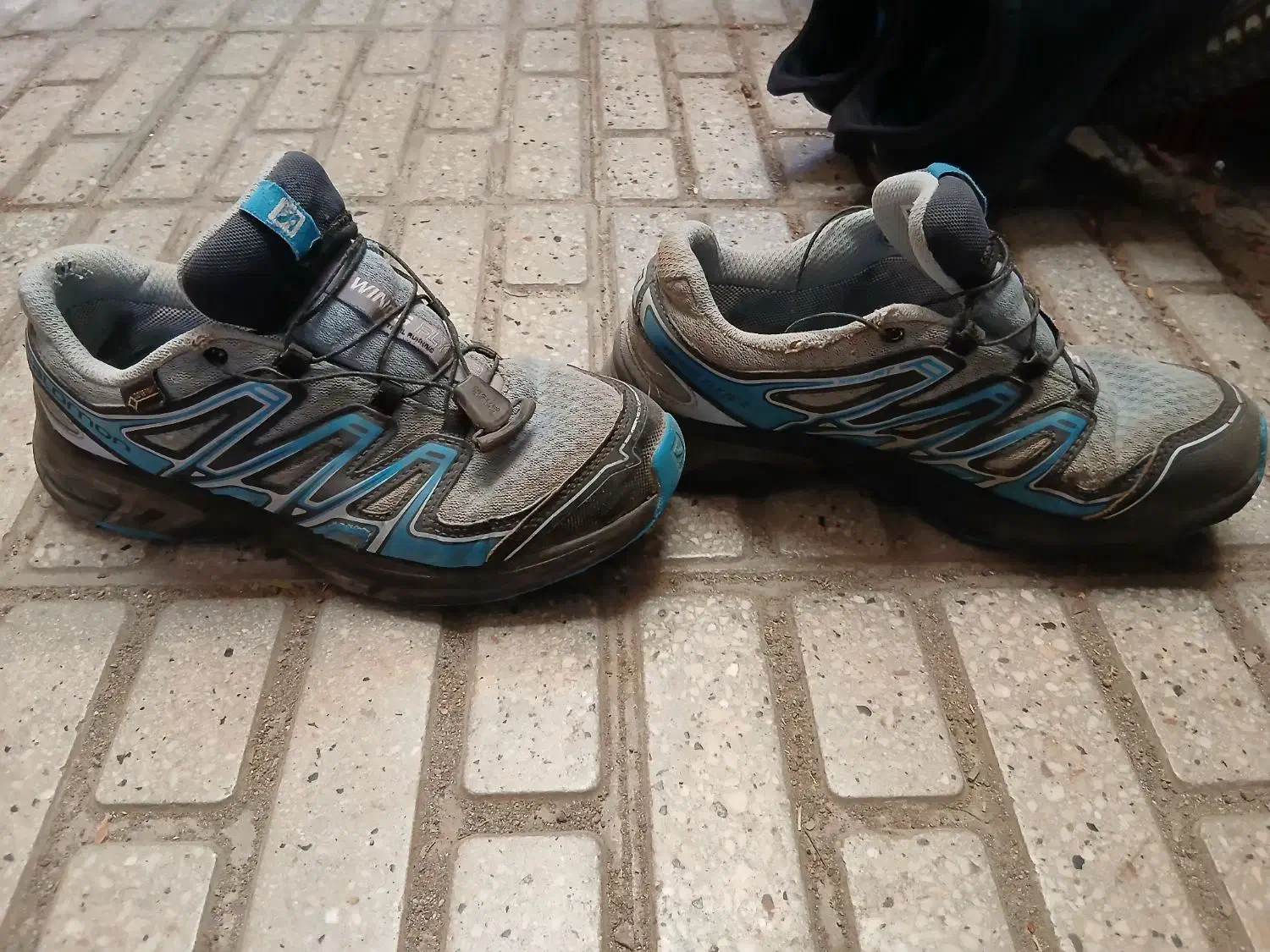 کفش سالامون اصلی پیاده روی و کوه نوردی|کیف، کفش، کمربند|کامیاران, |دیوار